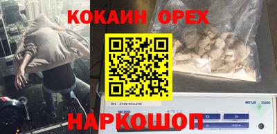 крисы Гагарин
