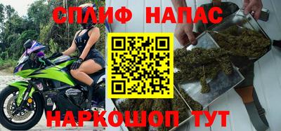 МДПВ Гатчина