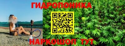 крисы Гагарин