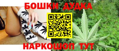 МДПВ Гатчина