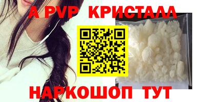 крисы Гагарин