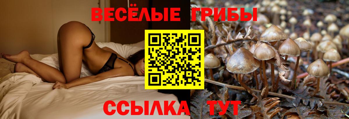 Псилоцибиновые грибы GOLDEN TEACHER Лабытнанги